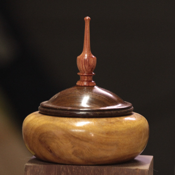 Ilidio Gonçalves Rodrigues